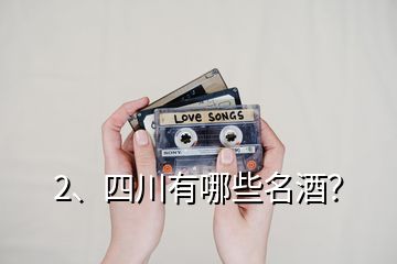 2、四川有哪些名酒？