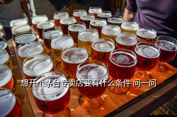 想開個(gè)茅臺(tái)專賣店要有什么條件 問一問