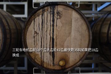 三輪車電機(jī)齒輪18個齒大齒輪42齒最快跑35碼如果把18齒換成