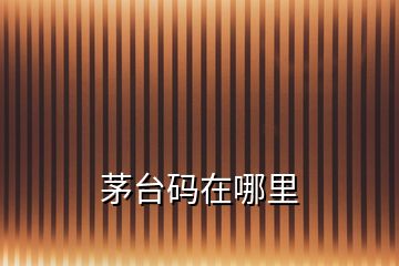 茅臺(tái)碼在哪里