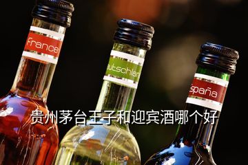 貴州茅臺王子和迎賓酒哪個(gè)好