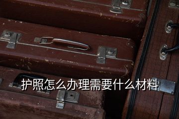 護照怎么辦理需要什么材料
