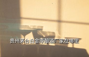 貴州茅臺白金原釀酒廠家在哪里