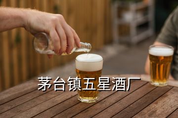 茅臺(tái)鎮(zhèn)五星酒廠