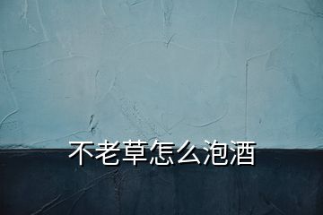 不老草怎么泡酒