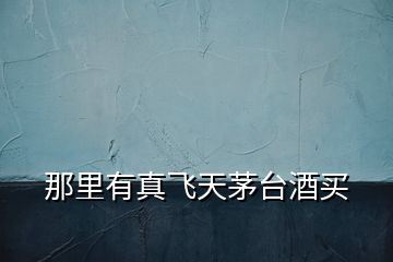 那里有真飛天茅臺(tái)酒買(mǎi)