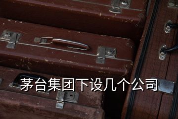 茅臺集團(tuán)下設(shè)幾個公司