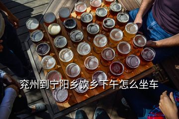 兗州到寧陽(yáng)鄉(xiāng)飲鄉(xiāng)下午怎么坐車