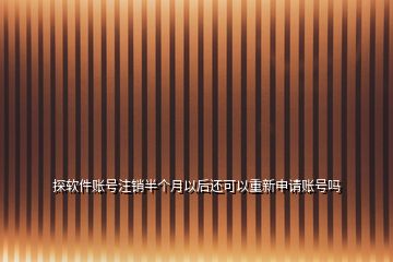 探軟件賬號注銷半個(gè)月以后還可以重新申請賬號嗎