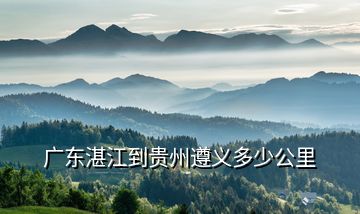 廣東湛江到貴州遵義多少公里