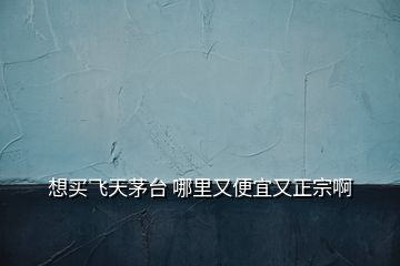想買飛天茅臺(tái) 哪里又便宜又正宗啊