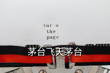 茅臺(tái)飛天茅臺(tái)