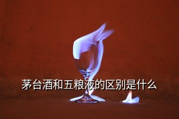 茅臺酒和五糧液的區(qū)別是什么