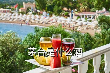 茅臺是什么酒