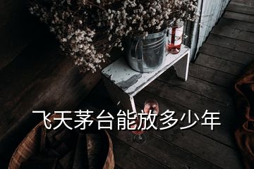 飛天茅臺能放多少年