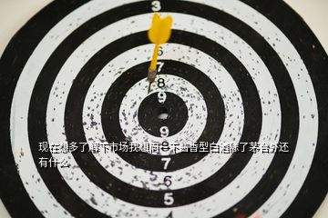 現(xiàn)在想多了解下市場我想問一下醬香型白酒除了茅臺(tái)外還有什么