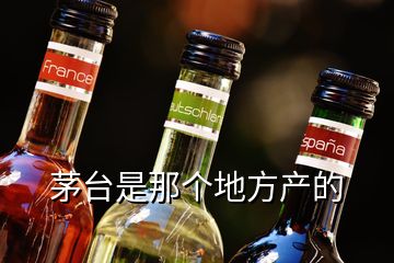 茅臺是那個地方產(chǎn)的