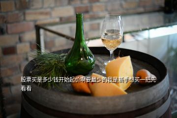 股票買是多少錢開始起價(jià)啊要最少的我是新手想買一把先看看