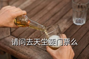 請問去天坣要門票么
