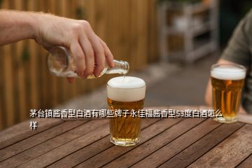 茅臺鎮(zhèn)醬香型白酒有哪些牌子永佳福醬香型53度白酒怎么樣