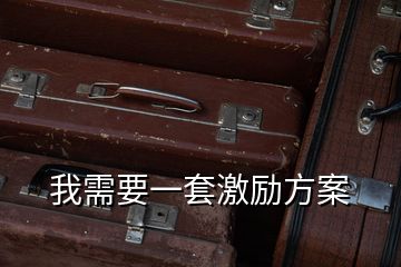 我需要一套激勵方案