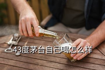 43度茅臺(tái)自己喝怎么樣