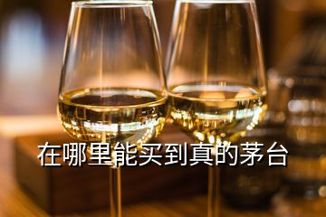 在哪里能買到真的茅臺