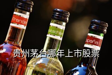 貴州茅臺哪年上市股票