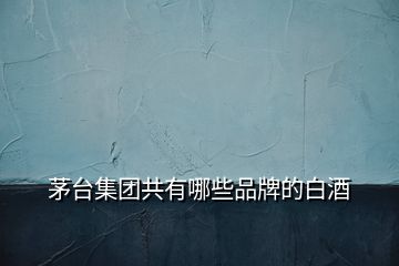 茅臺集團(tuán)共有哪些品牌的白酒