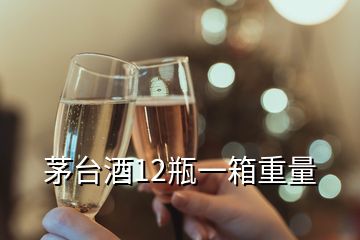 茅臺酒12瓶一箱重量