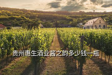 貴州惠生酒業(yè)醬之韻多少錢(qián)一瓶