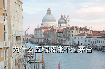 為什么五糧液漲不過(guò)茅臺(tái)