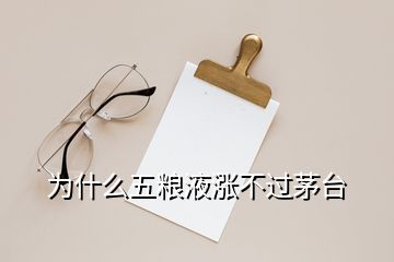 為什么五糧液漲不過茅臺(tái)