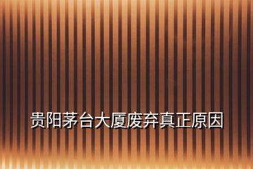 貴陽茅臺(tái)大廈廢棄真正原因