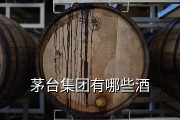 茅臺集團有哪些酒