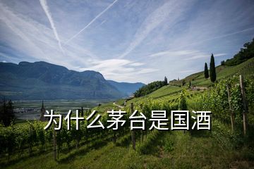為什么茅臺(tái)是國(guó)酒