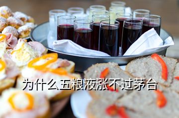 為什么五糧液漲不過茅臺