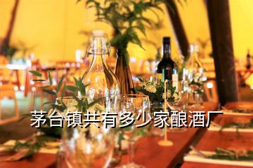 茅臺鎮(zhèn)共有多少家釀酒廠