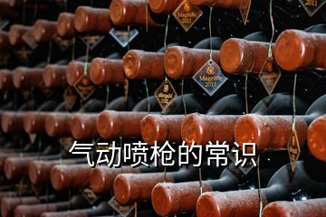 氣動噴槍的常識