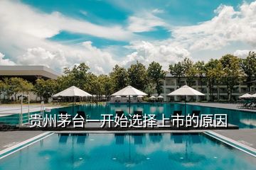 貴州茅臺(tái)一開(kāi)始選擇上市的原因