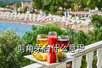 剪角茅臺什么意思
