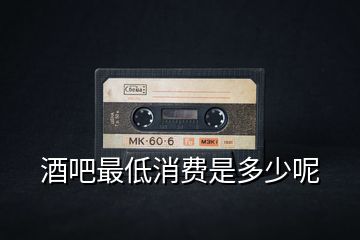酒吧最低消費(fèi)是多少呢