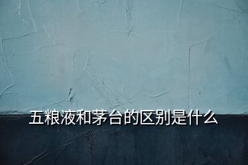 五糧液和茅臺(tái)的區(qū)別是什么
