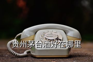 貴州茅臺酒好在哪里
