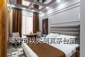 哪里可以買到真茅臺(tái)酒