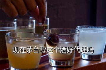 現(xiàn)在茅臺醇這個酒好代理嗎