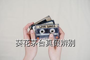 葵花茅臺(tái)真假辨別