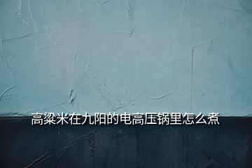 高粱米在九陽(yáng)的電高壓鍋里怎么煮