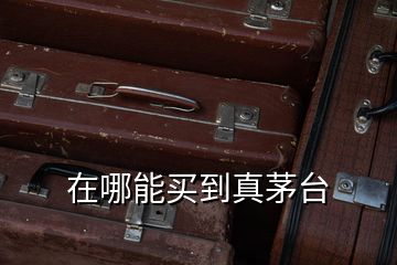 在哪能買到真茅臺(tái)