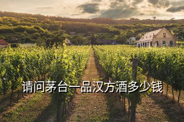 請(qǐng)問茅臺(tái)一品漢方酒多少錢